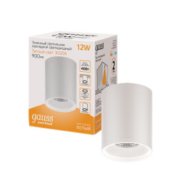 Накладной точечный светильник Gauss HD HD030