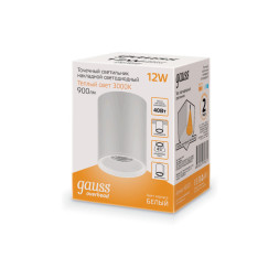 Накладной точечный светильник Gauss HD HD030