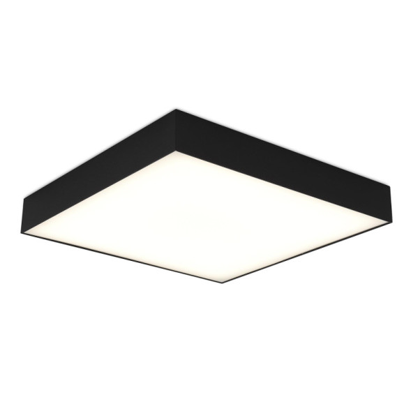 Потолочный светильник ST-Luce ST601 ST608.442.48