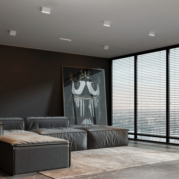 Накладной точечный светильник Elektrostandard 25109/LED 10W 3000K белый