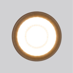 Накладной уличный светильник Elektrostandard Light LED 2105 (35132/H) черный