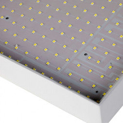 Потолочный светильник Favourite Flashled 2066-30C