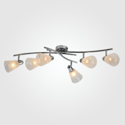 Спот Eurosvet Organic 20053/6 хром