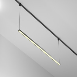 Магнитный трековый светильник Maytoni Technical BASIS TR170-1-52W3K-B