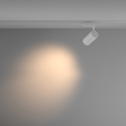 Светодиодный трековый светильник Maytoni Technical Vuoro TR003-1-36W3K-M-W