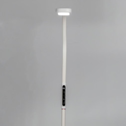 Торшер Citilux МАРК CL804020