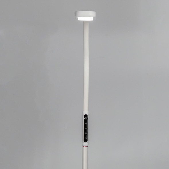 Торшер Citilux МАРК CL804020