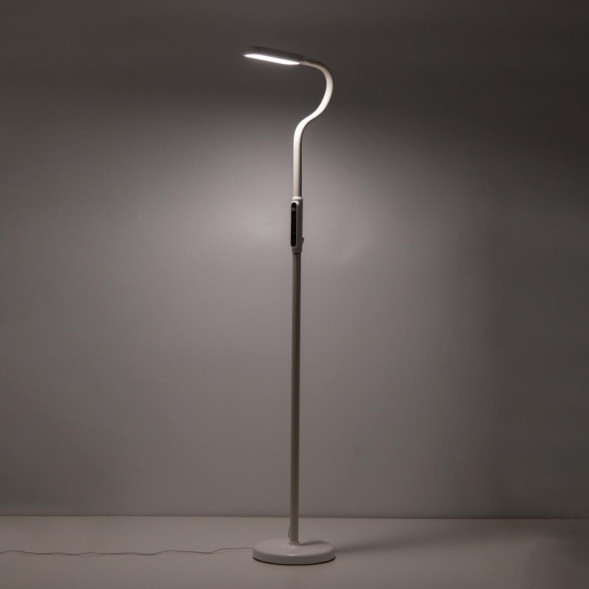 Торшер Citilux МАРК CL804020