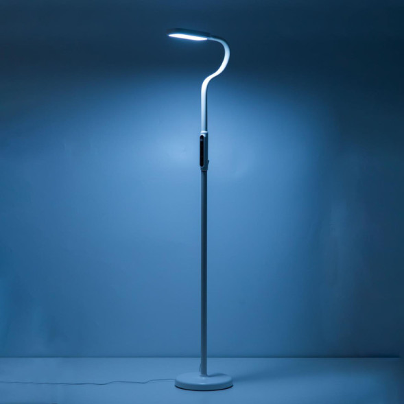 Торшер Citilux МАРК CL804020