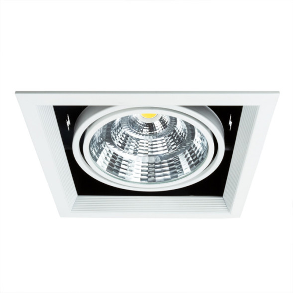 Встраиваемый точечный светильник ARTE Lamp Merga A8450PL-1WH