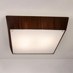 Потолочный светильник Citilux CL914142