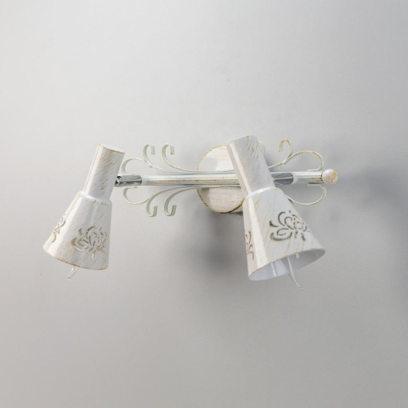 Спот Citilux Дункан CL529522