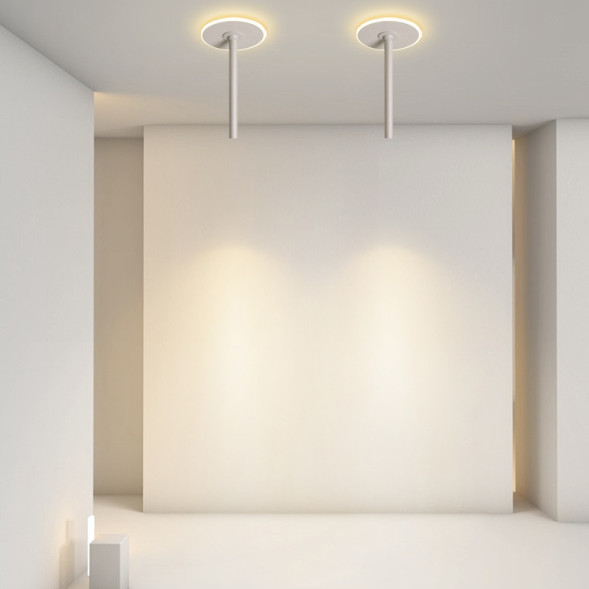 Потолочный светильник ImperiumLoft 223958-23 Find