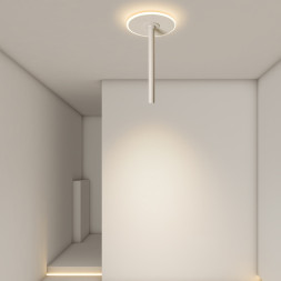 Потолочный светильник ImperiumLoft 223958-23 Find