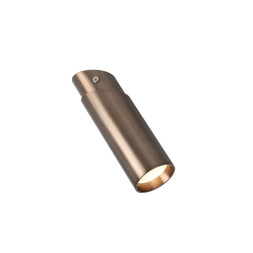 Накладной точечный светильник Favourite Insuper 2798-1U