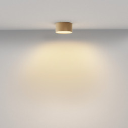 Потолочный светильник Maytoni Technical C032CL-12W2.7K-RD-MG Zon