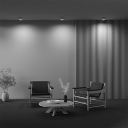 Потолочный светильник Maytoni Technical C032CL-12W2.7K-RD-MG Zon