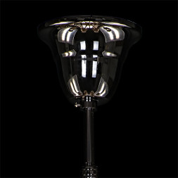 Подвесная люстра Lightstar Acesso 721083