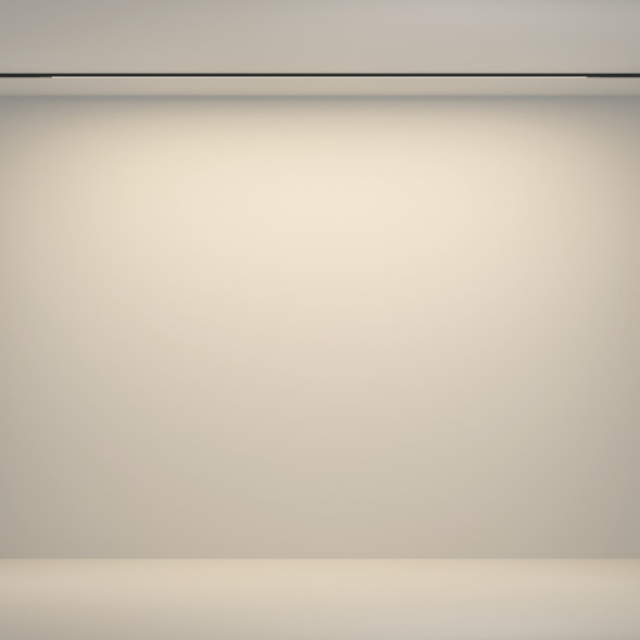 Магнитный трековый светильник Maytoni Technical Flex TR180-1-24WTW-B