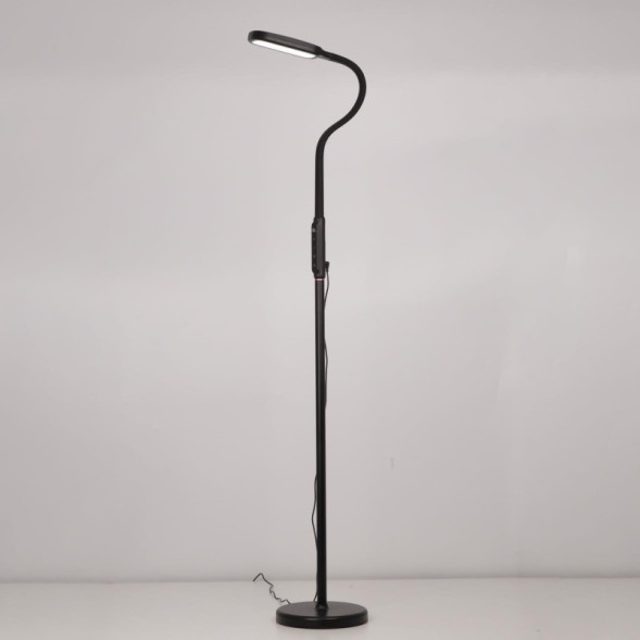 Торшер Citilux МАРК CL804021