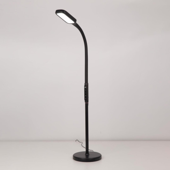 Торшер Citilux МАРК CL804021