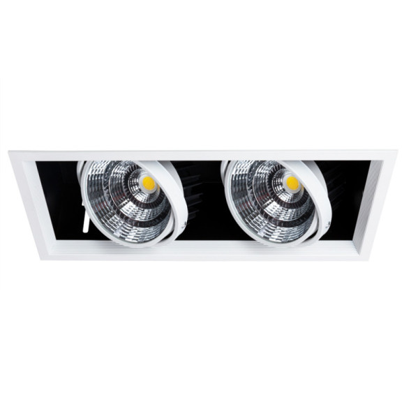 Встраиваемый точечный светильник ARTE Lamp Merga A8450PL-2WH