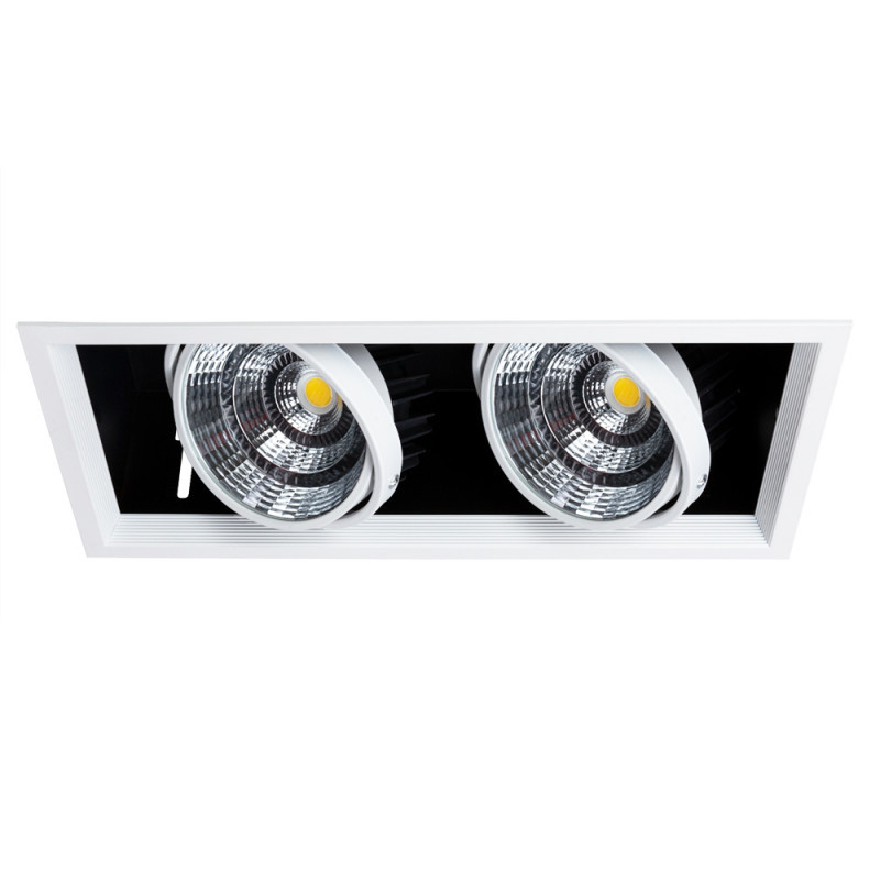 Встраиваемый точечный светильник ARTE Lamp Merga A8450PL-2WH