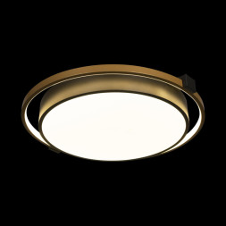 Потолочный светильник LOFT IT Mike 10170