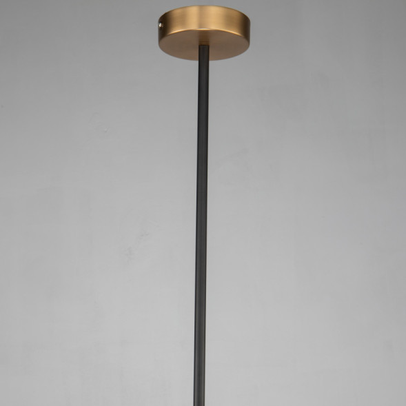 Подвесной светильник Favourite Roshe 2624-1P