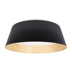 Потолочный светильник LOFT IT 10224 Black