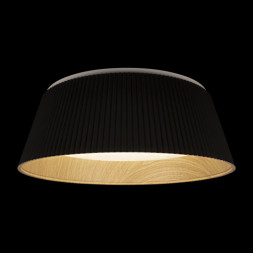 Потолочный светильник LOFT IT 10224 Black