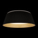 Потолочный светильник LOFT IT 10224 Black