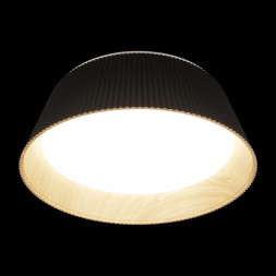 Потолочный светильник LOFT IT 10224 Black