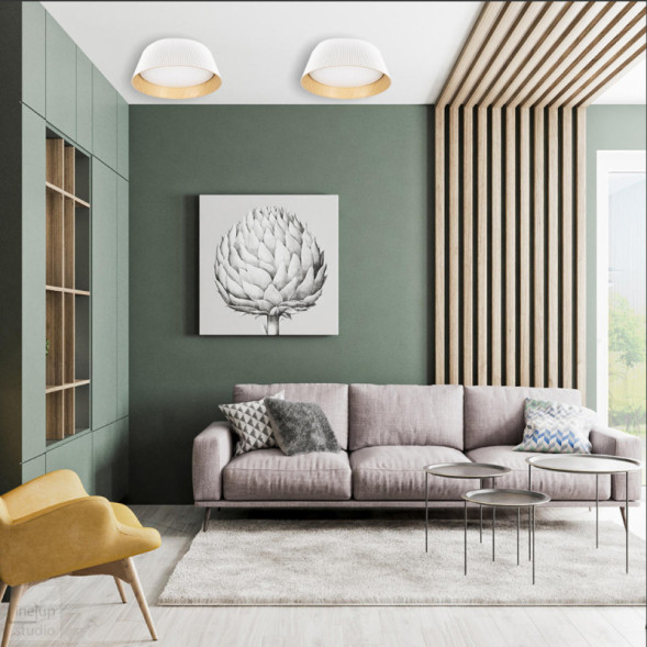 Потолочный светильник LOFT IT 10224 Black