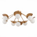 Потолочная люстра Evoluce BOLZANO SLE220502-08