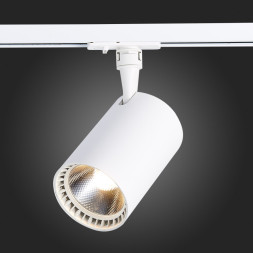 Светодиодный трековый светильник ST-Luce CAMI ST351.536.30.24