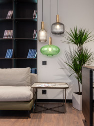 Подвесной светильник Freya Zelma FR8012PL-01GN