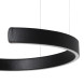 Подвесной светильник LOFT IT RING 10025/400 Black