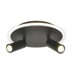 Потолочный светильник Escada 20046SMA/02LED BK