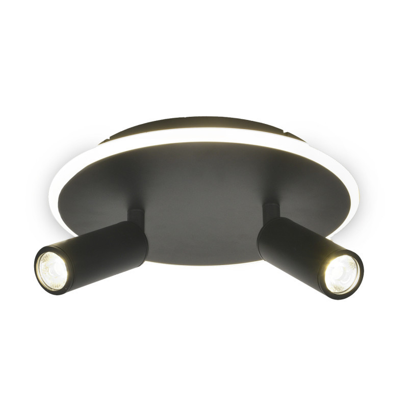 Потолочный светильник Escada 20046SMA/02LED BK