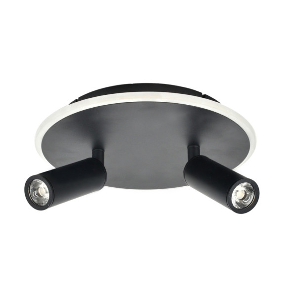 Потолочный светильник Escada 20046SMA/02LED BK