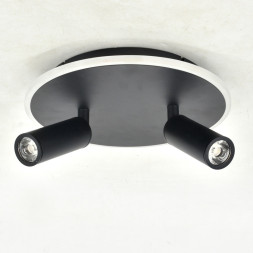 Потолочный светильник Escada 20046SMA/02LED BK