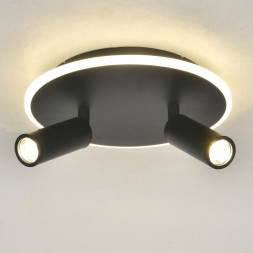 Потолочный светильник Escada 20046SMA/02LED BK