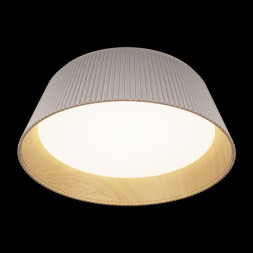 Потолочный светильник LOFT IT 10224 White