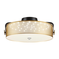 Потолочный светильник LUMION DRUMY 6597/40L