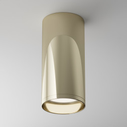 Накладной точечный светильник Maytoni Technical FOCUS C010CL-01G