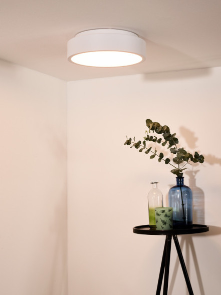 Накладной точечный светильник LUCIDE TALOWE LED 46100/20/31