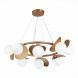 Подвесная люстра Evoluce BOLZANO SLE220503-08