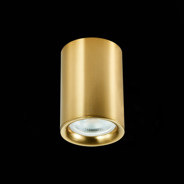 Накладной точечный светильник ST-Luce ST114 ST114.207.01