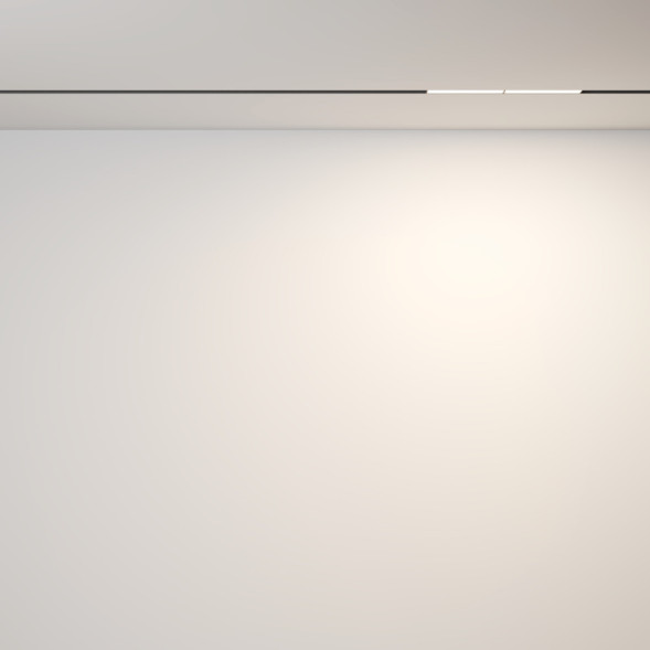 Магнитный трековый светильник Maytoni Technical Parete TR106-2-12W3K-B